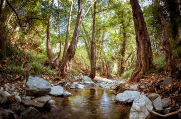 Beautiful Cyprus