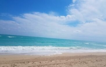 What’s New in Miami This Summer