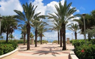 Miami-Dade Tourism Remains Robust With Record Number Of Visitors In 2024