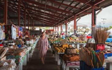 Holiday travellers increase for the first 5 months of 2025.