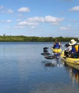 Paddle Local: Top Kayak Spots In Miami