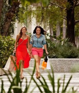 Luxury Shopping In Style