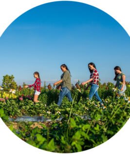 Miami Dade Farmers Month