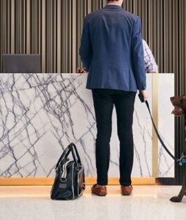 Pet Approved Miami Vibes