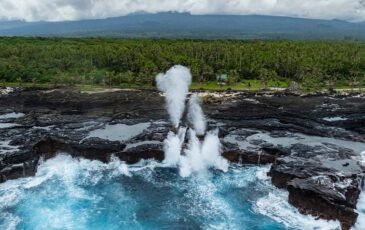 Visitor statistics – January to November 2025