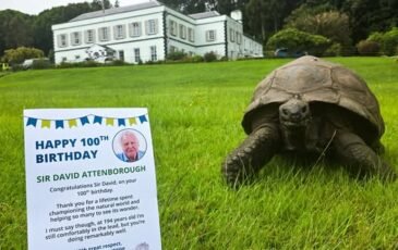 Greetings to Sir David Attenborough who turns 100 today