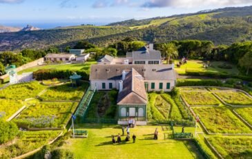 Tie the Knot on Remote St Helena Island for a Wedding Like No Other