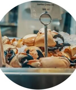 South Beach Seafood Festival